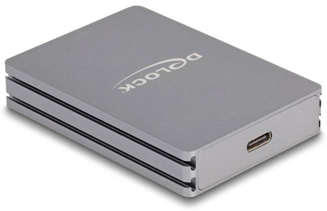 Delock 91013 Externer Speicherkartenleser Grau