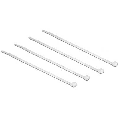 Delock 18605 Kabelbinder 100 mm 2.5 mm Transparent 100 St.-0
