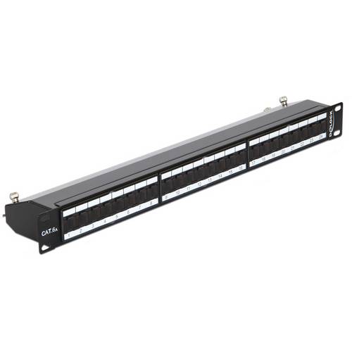 DeLOCK - Patch Panel - RJ-45 X 24 - Jet Black, RAL 9005 - 1U - 48.3 cm (19)