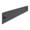 Delock 66579 19 Zoll Netzwerkschrank-Blindabdeckung 2 HE Schwarz