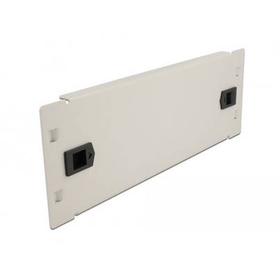 Delock 66631 10 Zoll Netzwerkschrank-Blindabdeckung Grau-0