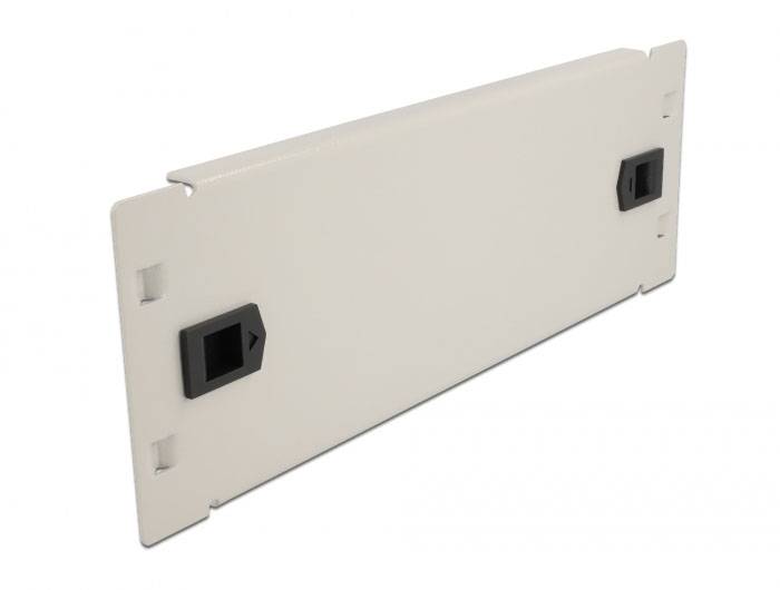 Delock 66631 10 Zoll Netzwerkschrank-Blindabdeckung Grau-1