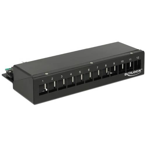 Delock 43339 Patch-Panel Schwarz