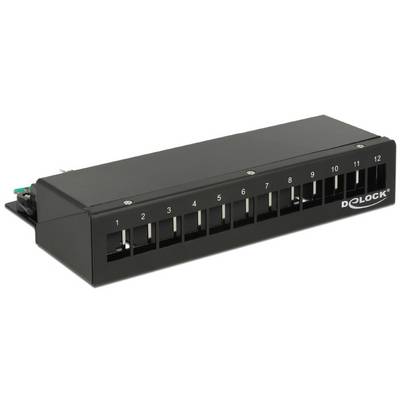 Delock 43339 Patch-Panel Schwarz Unbestückt-0