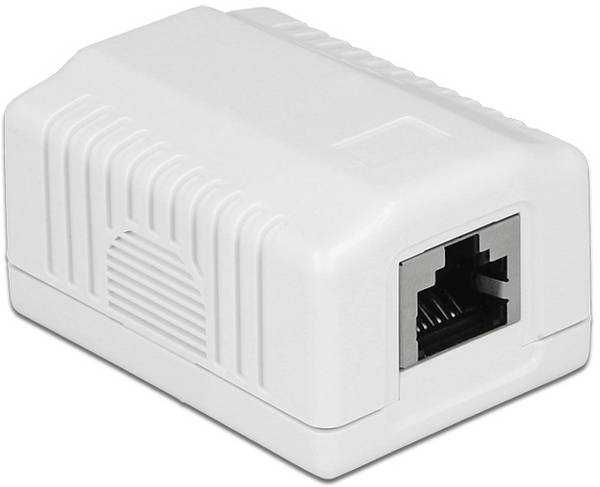 Delock Netzwerkdose Aufputz CAT 6a  Weiß