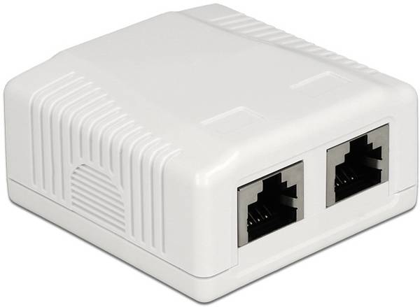 Delock Netzwerkdose Aufputz CAT 6a  Weiß