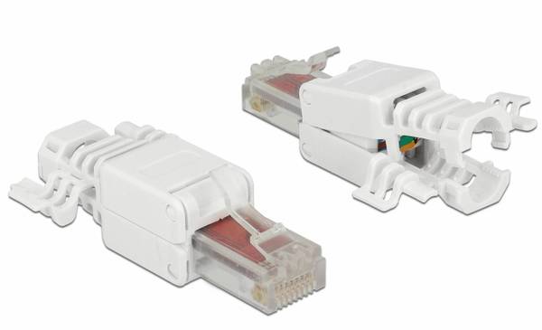 Delock - Netzwerkanschluss - RJ-45 (M) - UTP - CAT 6 - (Anzahl pro Packung: 2)