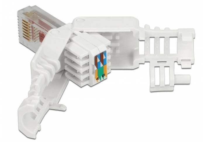 Delock - Netzwerkanschluss - RJ-45 (M) - UTP - CAT 6 - (Anzahl pro Packung: 2)-2