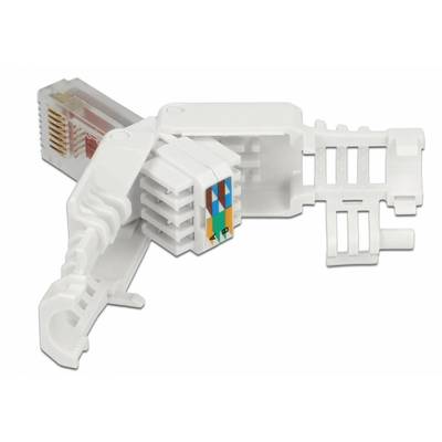 Delock - Netzwerkanschluss - RJ-45 (M) - UTP - CAT 6 - (Anzahl pro Packung: 2)-2