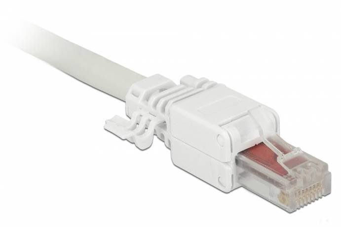 Delock - Netzwerkanschluss - RJ-45 (M) - UTP - CAT 6 - (Anzahl pro Packung: 2)-3