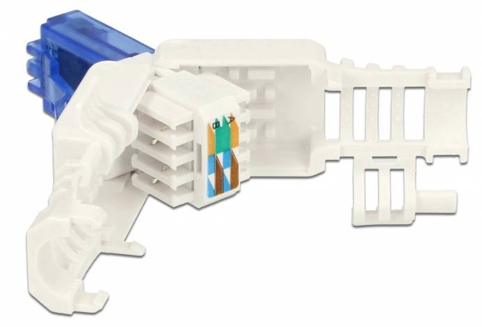 DeLOCK - Netzwerkanschluss - RJ-45 (M) - UTP - CAT 6a - (Anzahl pro Packung: 2)-1