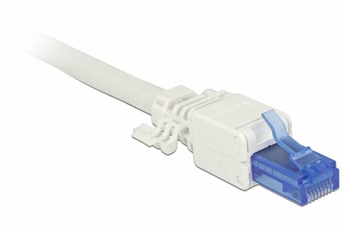 DeLOCK - Netzwerkanschluss - RJ-45 (M) - UTP - CAT 6a - (Anzahl pro Packung: 2)-2