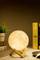 Mondlampe auf einem Tisch, umgeben von Büchern und einer kleinen Pflanze. Dimme Beleuchtung schafft eine gemütliche Atmosphäre.
