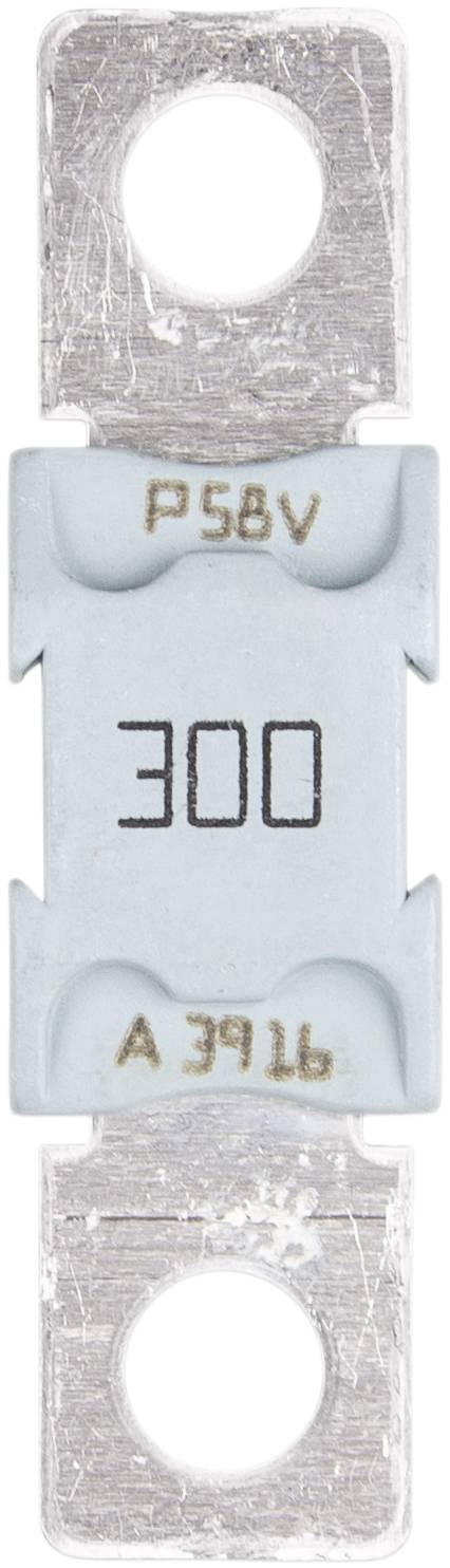 'Sicherung mit der Aufschrift 300, P58V, A 39U und 91' auf hellblauem Gehäuse.