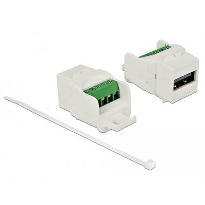 Delock 86376 USB 2.0-Einbaumodul Keystone Kabel 1 St.-0