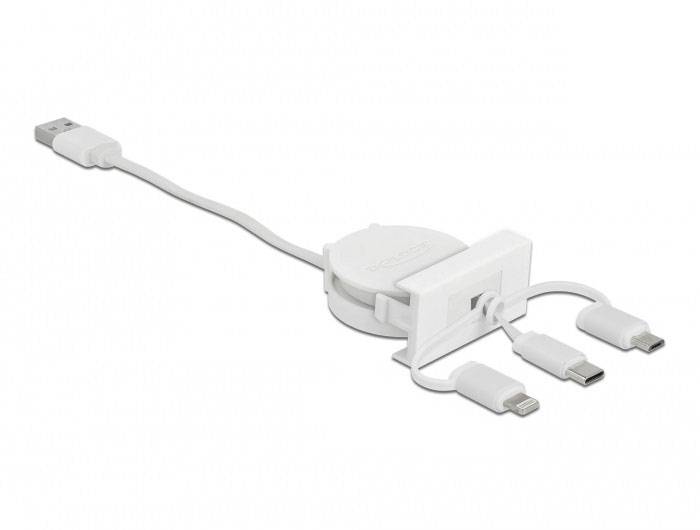 Delock 81375 81375 Erweiterungsmodul 480 MBit/s-1