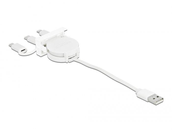 Delock 81375 81375 Erweiterungsmodul 480 MBit/s-2