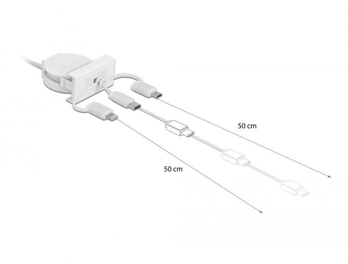 Delock 81375 81375 Erweiterungsmodul 480 MBit/s-3