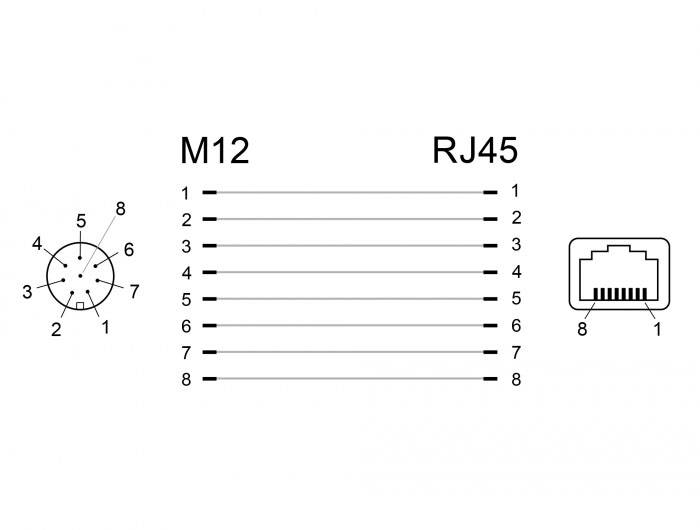 Delock M12 / RJ45 Netzwerk Adapter Kabel [1x M12-Buchse - 1x RJ45-Buchse] Schwarz-3
