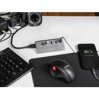 Delock 64182 USB-Hub 4+1 Port USB-A, DC-Buchse 3.5 mm USB 3.2 Gen2 10 GBit/s Grau 64182-4