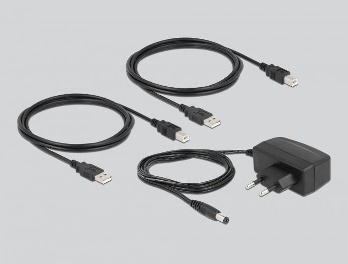 Delock 11494 USB 2.0-Umschalter Schwarz-4