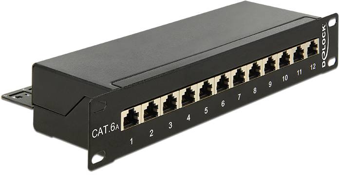 Delock 43310 Patch-Panel 254 mm (10") CAT 6a 1 HE Schwarz Bestückt-0