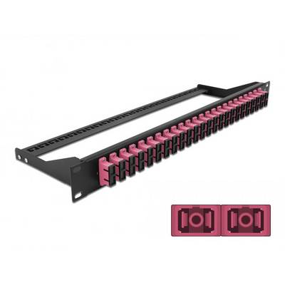 Delock 43396 LWL-Patchpanel 24 Port SC 1 HE-0