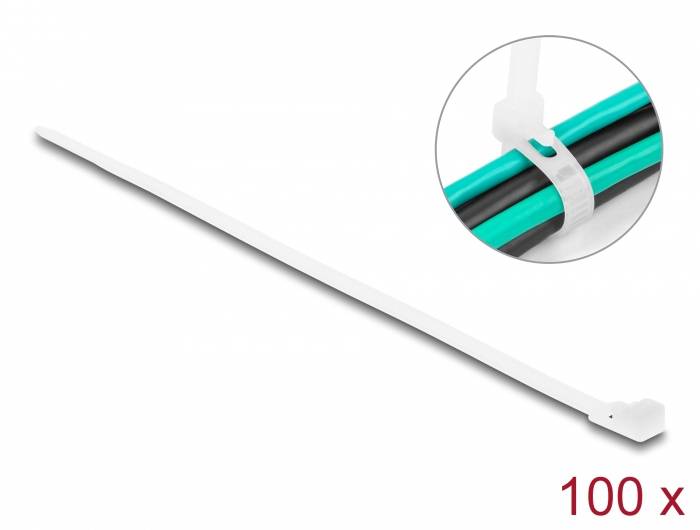 Delock 18642 Kabelbinder Weiß Wiederverwendbar 100 St.