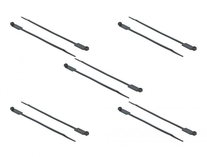 Delock 18961 Kabelbinder Schwarz mit Beschriftungsfeld 10 St.