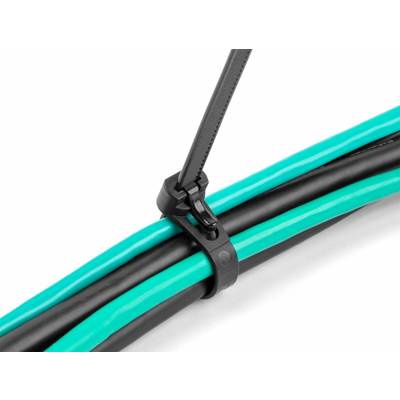 Delock 19064 Kabelbinder Schwarz Hitzestabilisiert, Wiederverwendbar 100 St.-4