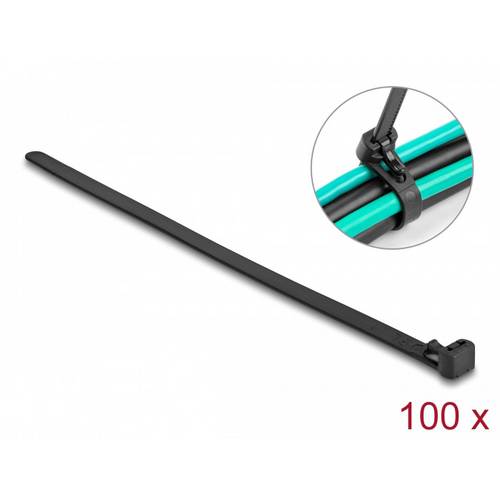 Thumbnail - Delock 19066 Kabelbinder Schwarz Hitzestabilisiert, Wiederverwendbar 100 St.