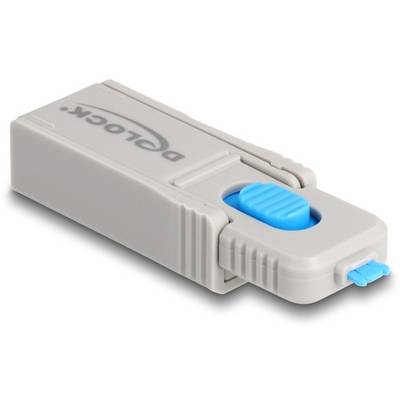 Delock USB-A Port Schloss 20923 Blau, Grau 20923-2