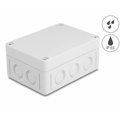 Delock 60489 Installations-Gehäuse 93 x 57 x 130 1 St. Box-0