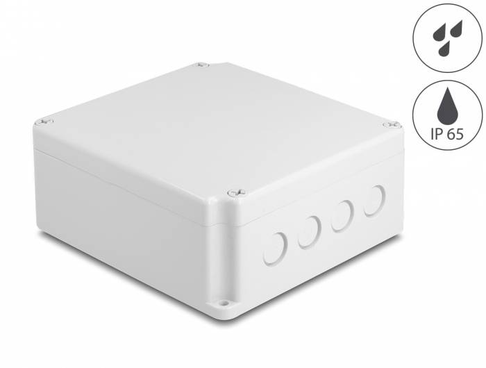 Delock 60490 Installations-Gehäuse 170 x 160 x 70 x 170 1 St. Box