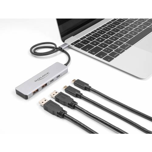 Delock 64230 USB-C® (USB 3.2 Gen 2) Multiport Hub Grau