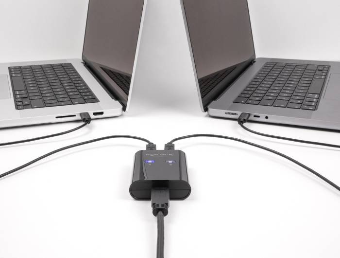 Delock 11503 USB 2.0-Umschalter Schwarz-3