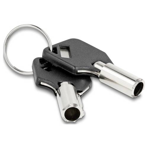 Delock Laptop Schloss Schlüsselschloss inkl. 2 Schlüssel 1.5 m 20678