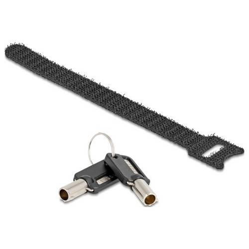 Delock Laptop Schloss Schlüsselschloss inkl. 2 Schlüssel 1.5 m 20974