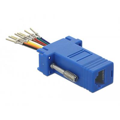 Ein blauer RJ45-Stecker mit freiliegenden farbigen Kabeln auf der Rückseite.