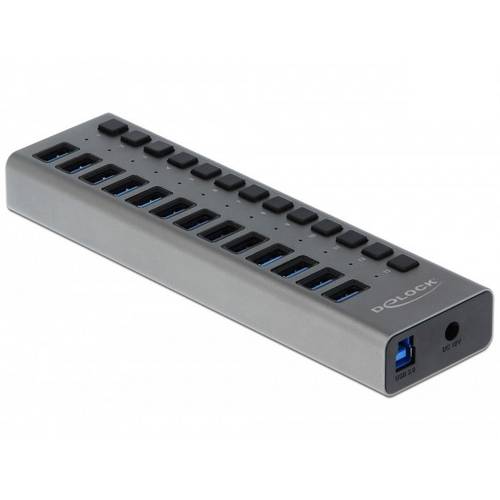 Thumbnail - Delock 63738 USB-Hub 13 Port USB-A, DC-Buchse 3.5 mm USB 3.2 Gen1 5 GBit/s Grau 63738