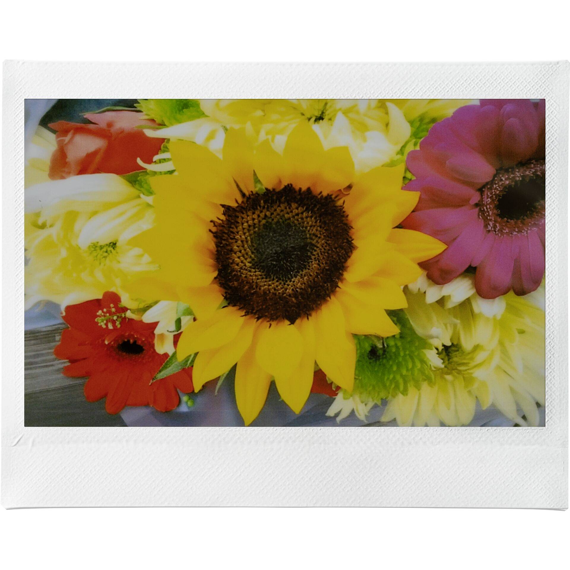 Ein Arrangement aus leuchtenden Sonnenblumen und bunten Gerbera-Blumen, mit roten und rosa Blütenblättern im Hintergrund.