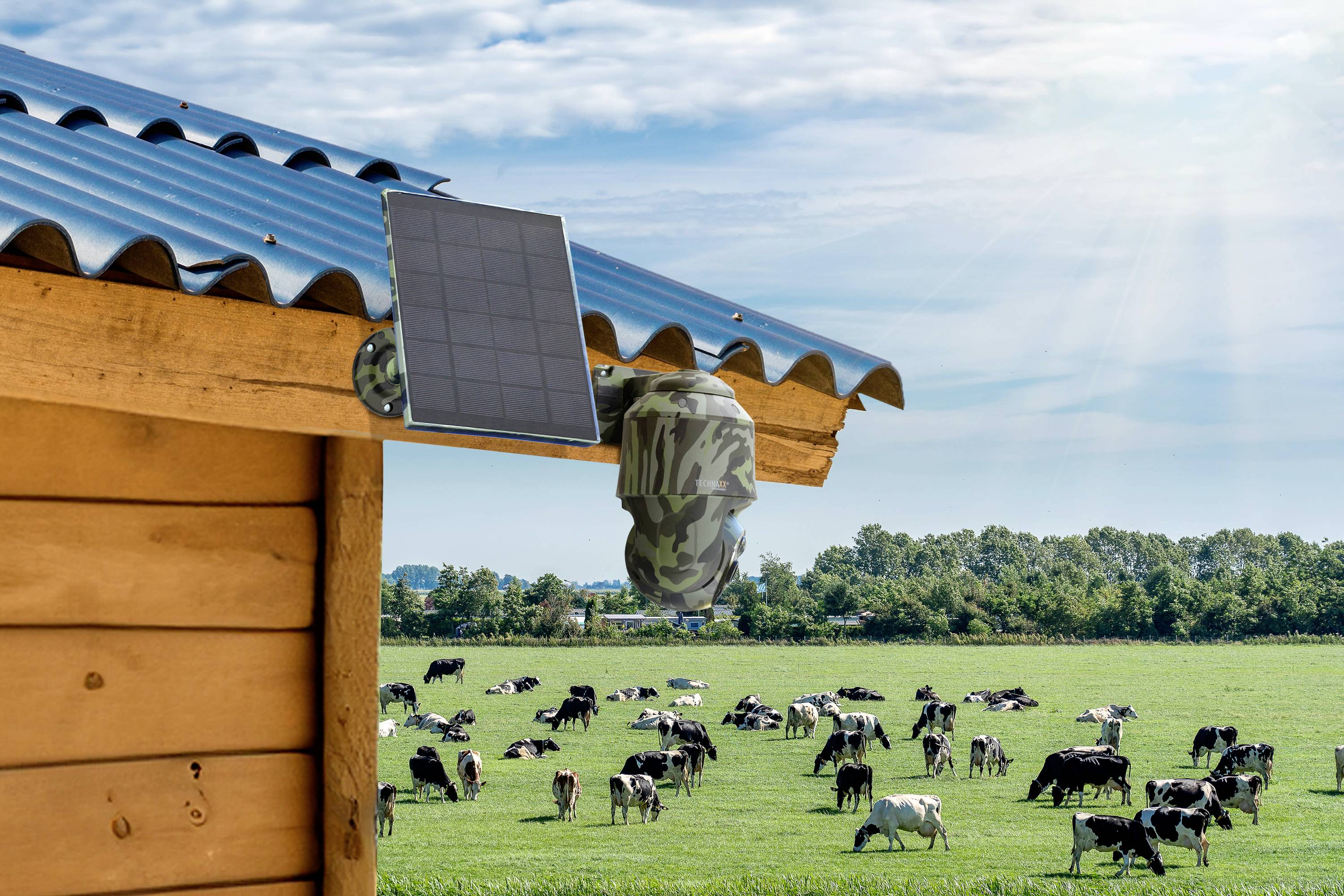 Holzhütte mit Überwachungskamera und Solarpanel am Dach. Im Hintergrund grüne Weide mit grasenden Kühen unter blauem Himmel.