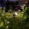 'Garten mit grüner Hecke und Rasen, beleuchtet von mehreren Bodenstrahlern, die eine gemütliche Abendatmosphäre schaffen.'