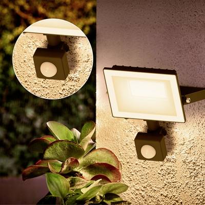 Außenwandleuchte mit Bewegungsmelder leuchtet nachts. Nahaufnahme zeigt rechteckige Lampe an der Hauswand, beleuchtet Pflanzen im Vordergrund.