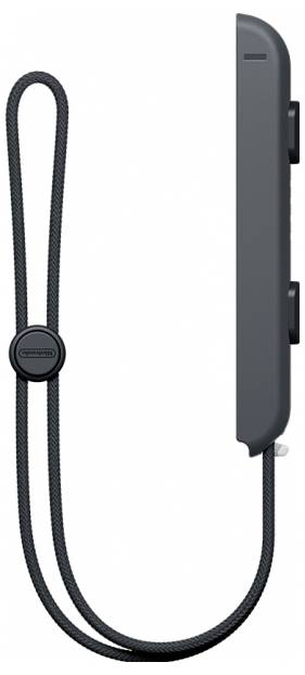 Grauer Spielcontroller mit seitlichen Tasten und Handschlaufe, aufrecht stehend.