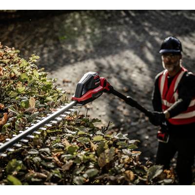 Eine Person in Schutzkleidung trimmt eine Hecke mit einem elektrischen Heckenschneider auf einem gepflasterten Weg.