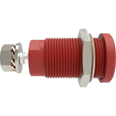 Rote geriffelte Schraube mit silberner Mutter und Unterlegscheibe; zeigt Detail eines mechanischen Bauteils.
