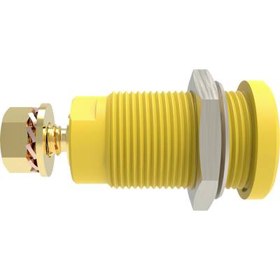 Gelbes, zylindrisches Bauteil mit Gewinde, rechts eine Mutter, links ein kleinerer, glänzender Anschluss. Wahrscheinlich ein mechanisches Teil.