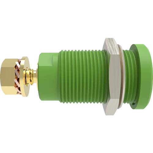 Schützinger DI SEB 9424 Au / GN Sicherheits-Einbaubuchse gerade Grün 1 St.