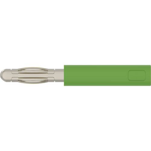 Schützinger A 40-20 Ni / GN Adapter gerade Stift-Ø: 4 mm Grün 1 St.